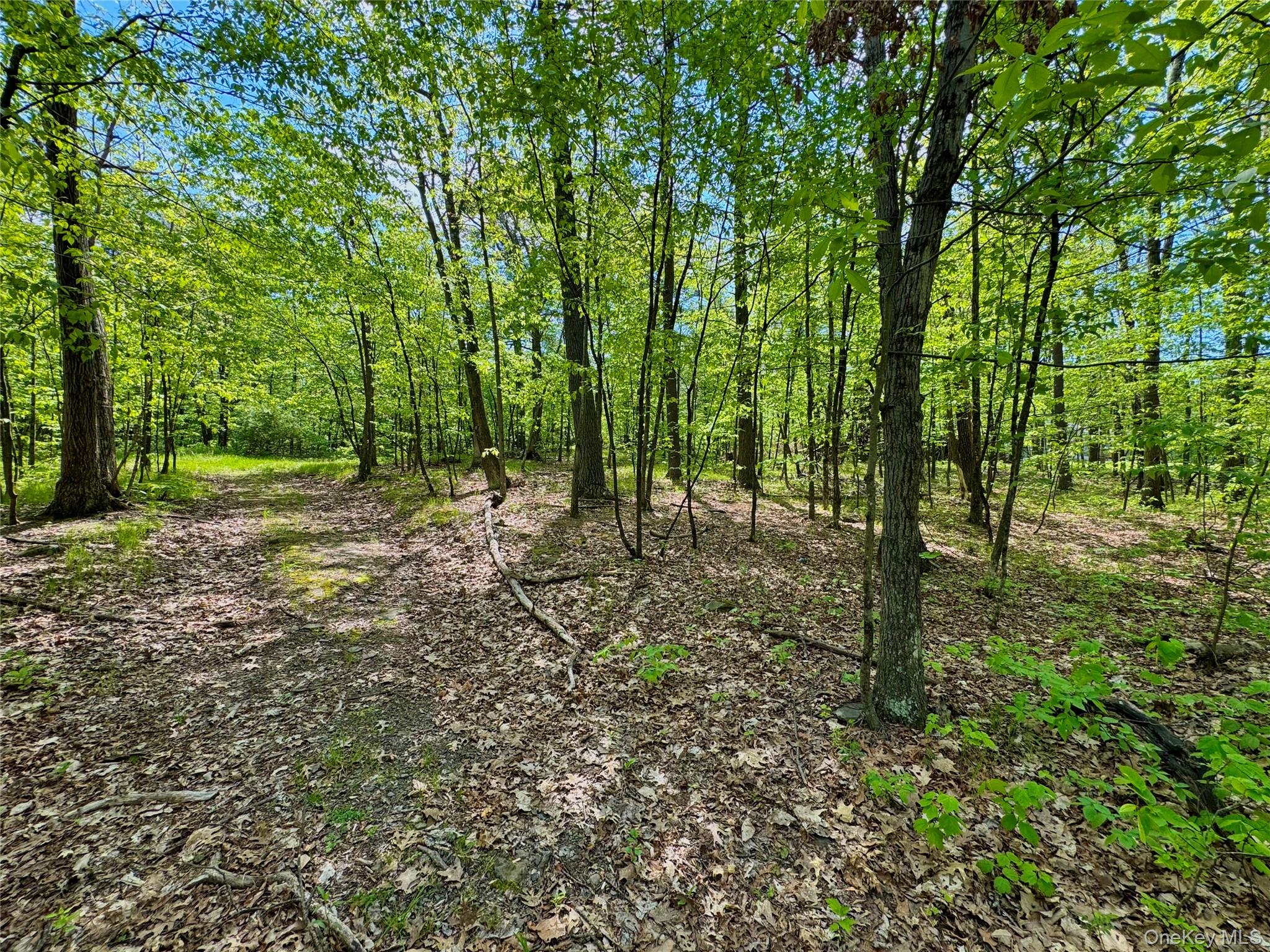 Tbd Bill Matter Road Property Photo 7