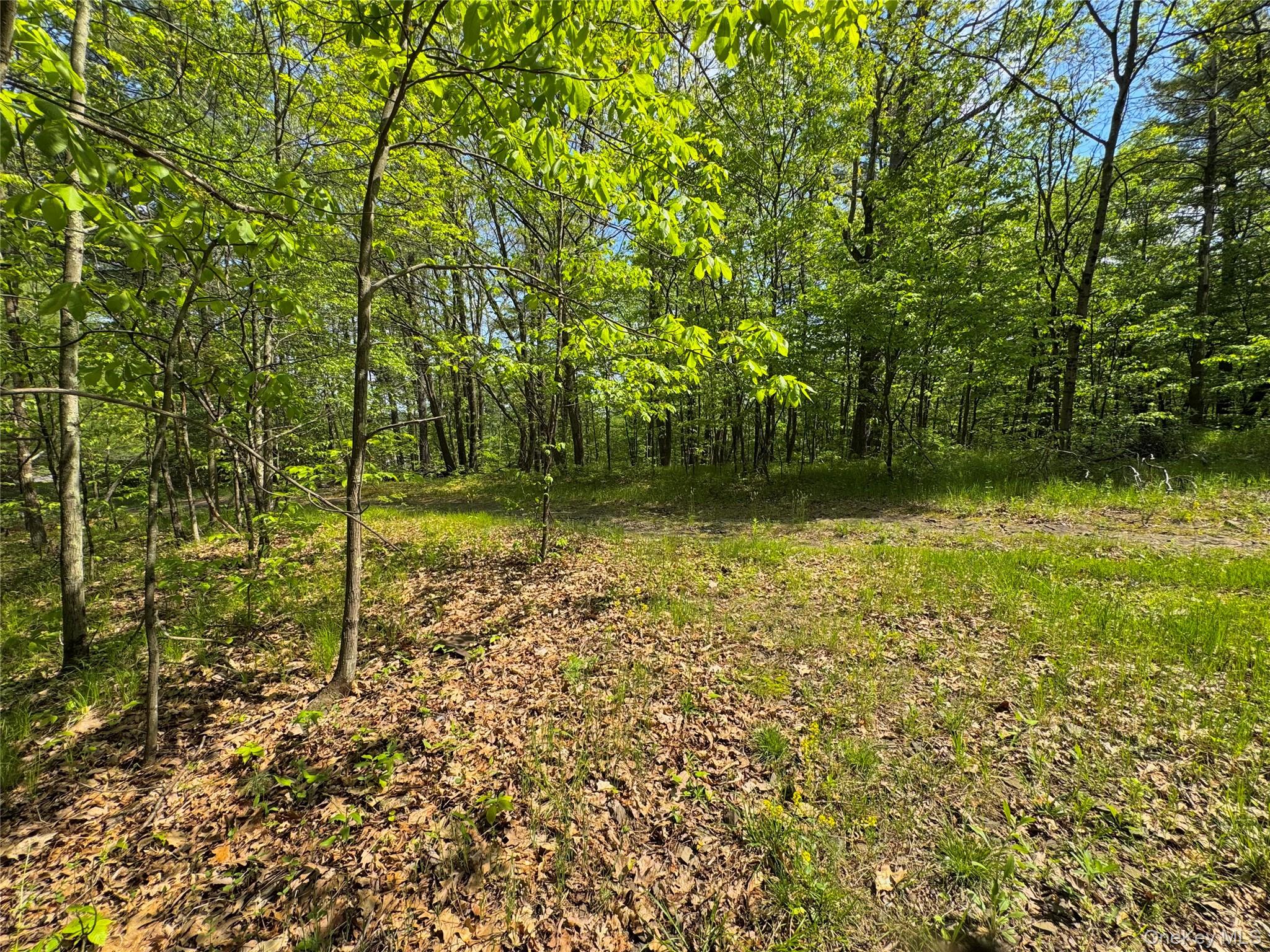 Tbd Bill Matter Road Property Photo 8