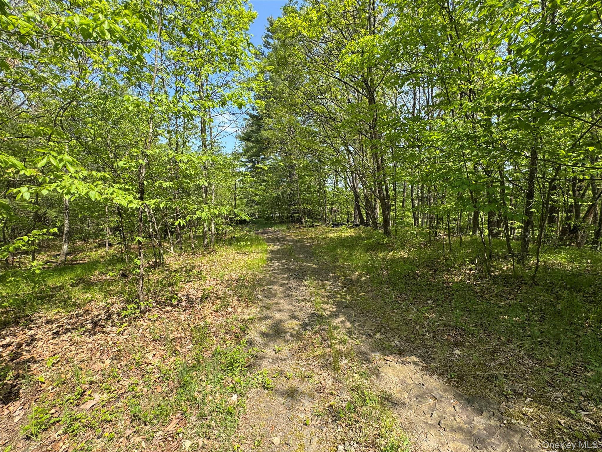 Tbd Bill Matter Road Property Photo 10