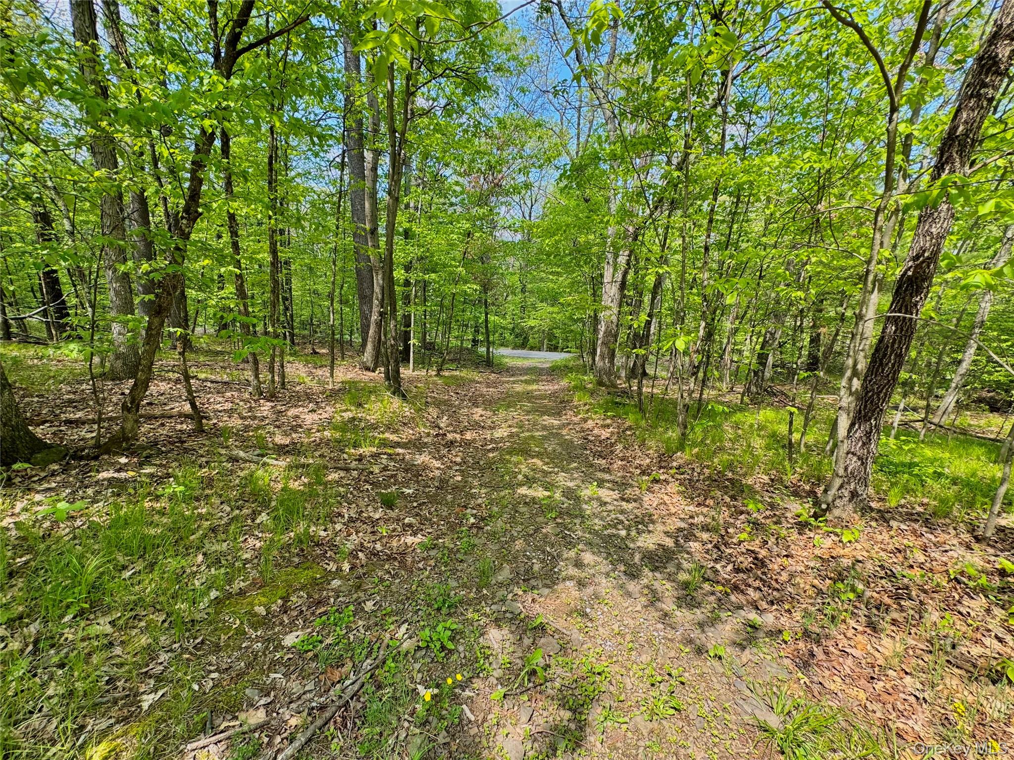 Tbd Bill Matter Road Property Photo 12