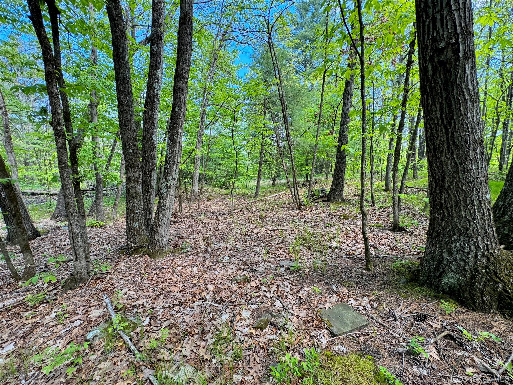 Tbd Bill Matter Road Property Photo 14