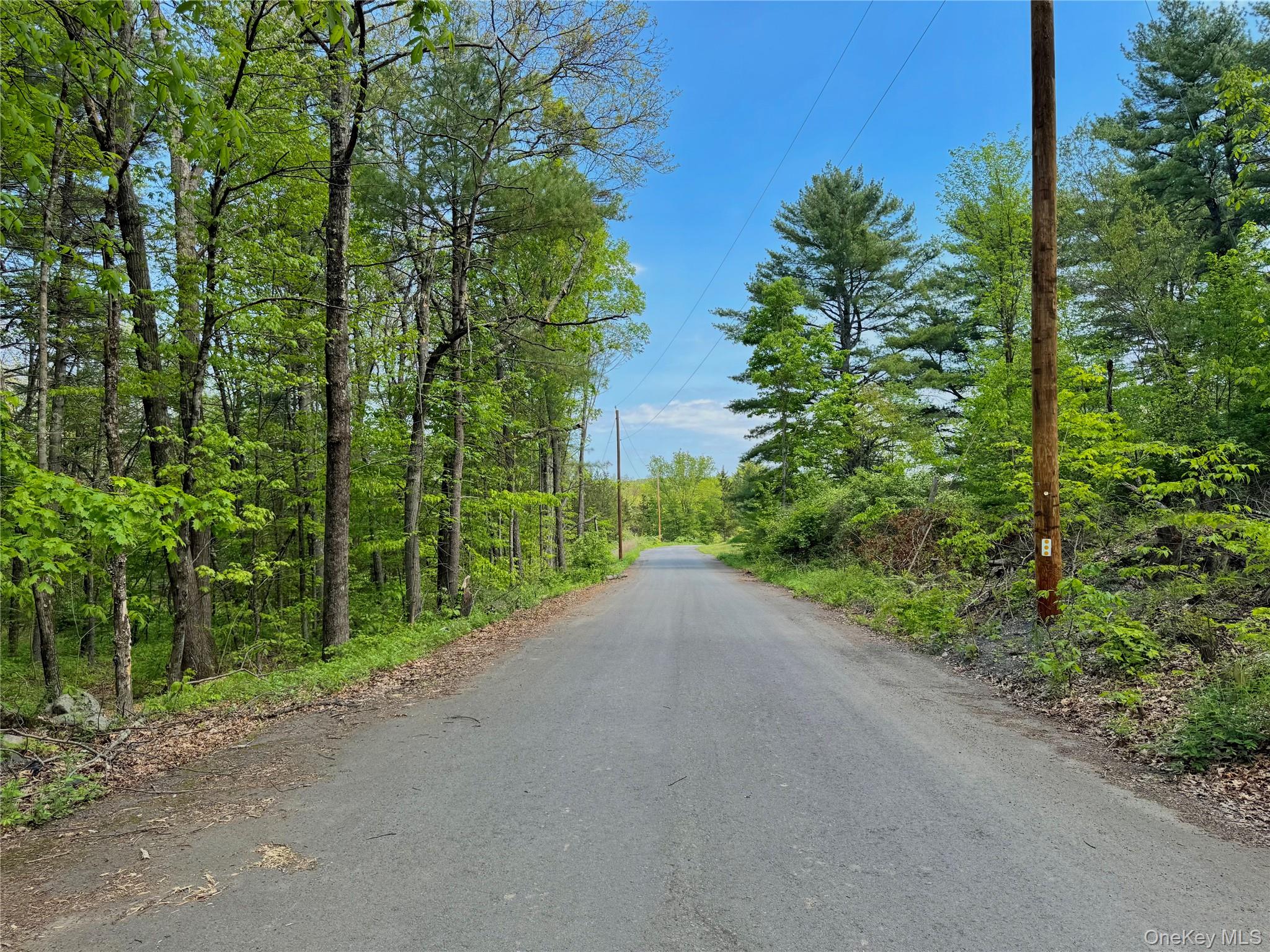 Tbd Bill Matter Road Property Photo 15