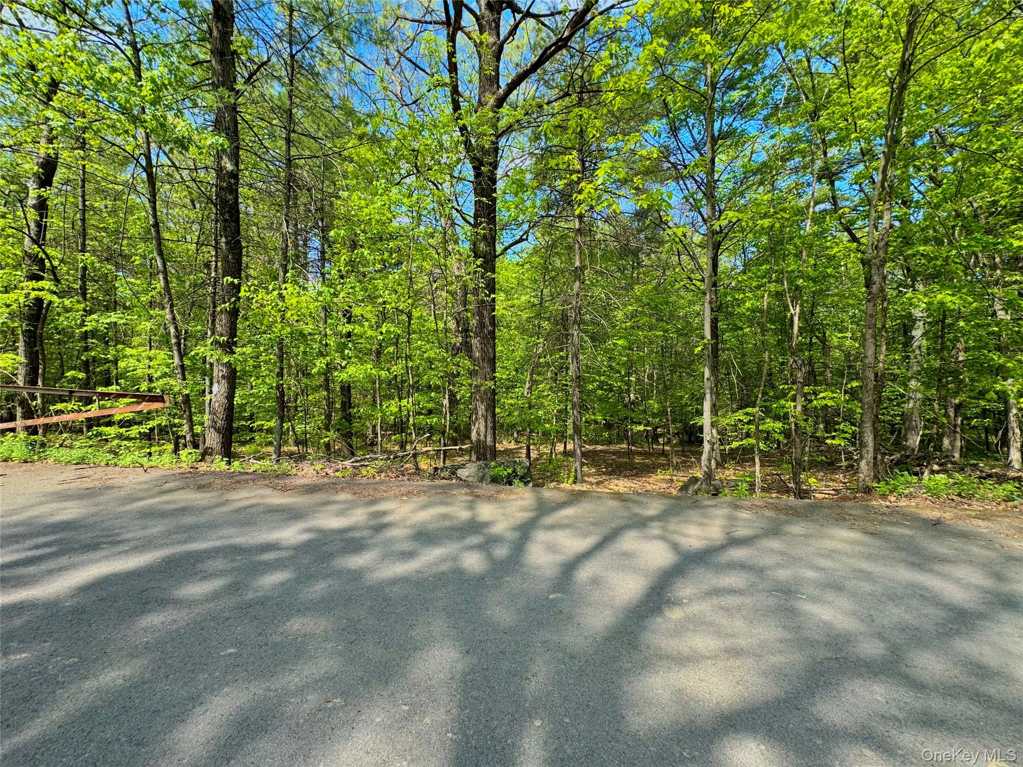 Tbd Bill Matter Road Property Photo 16