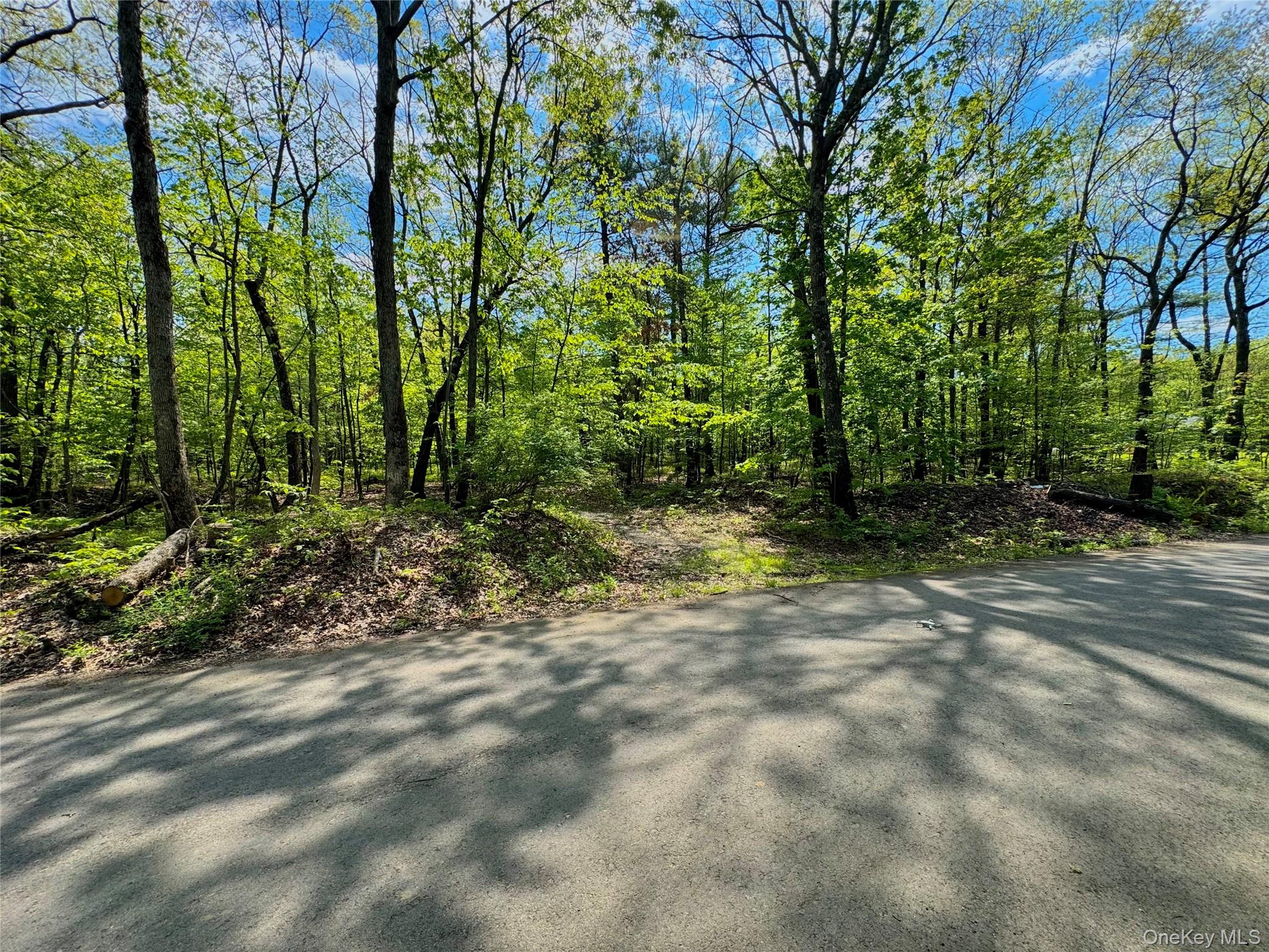Tbd Bill Matter Road Property Photo 17