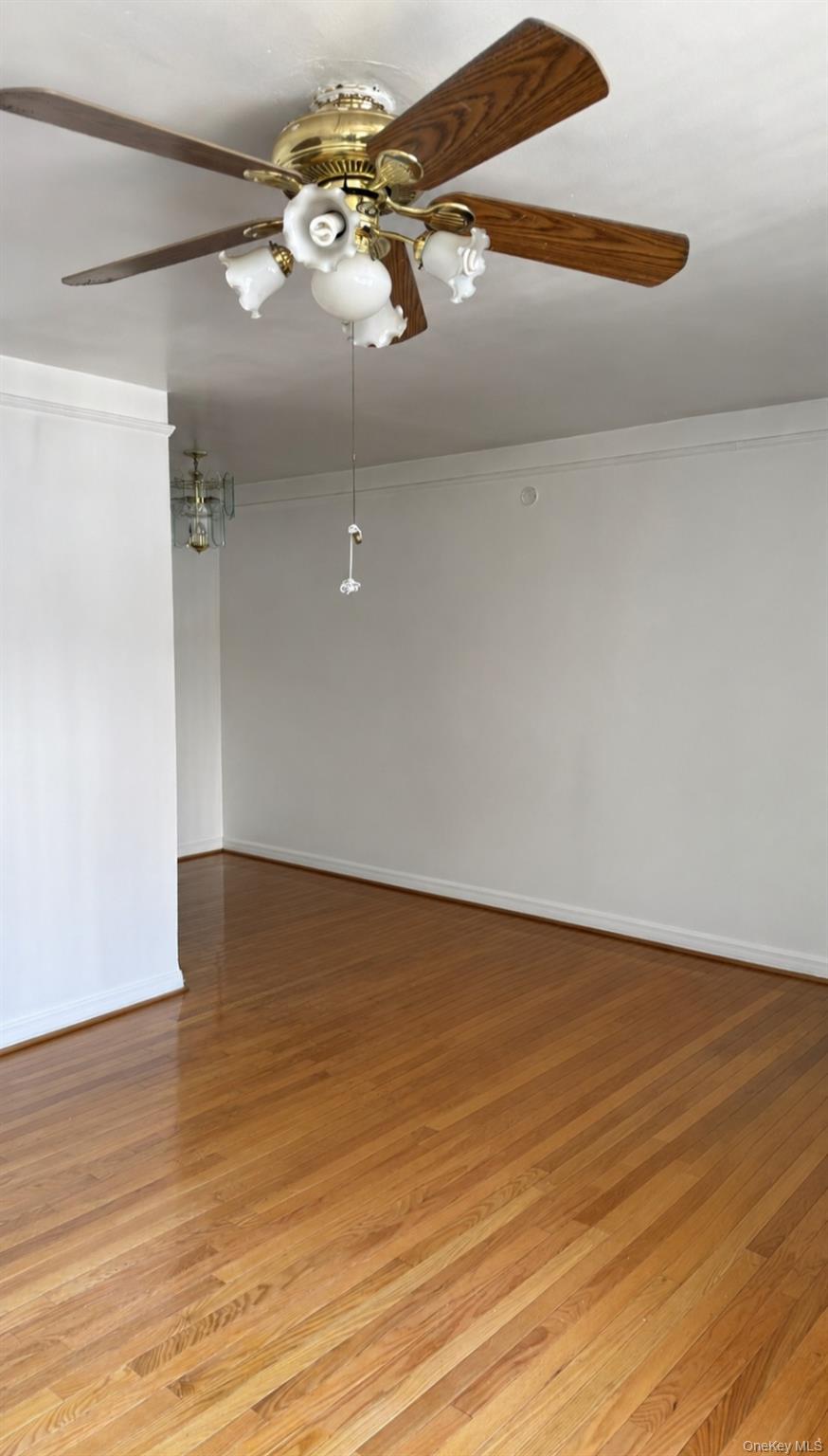 214-07b Hillside Ave Unit B Property Photo 3