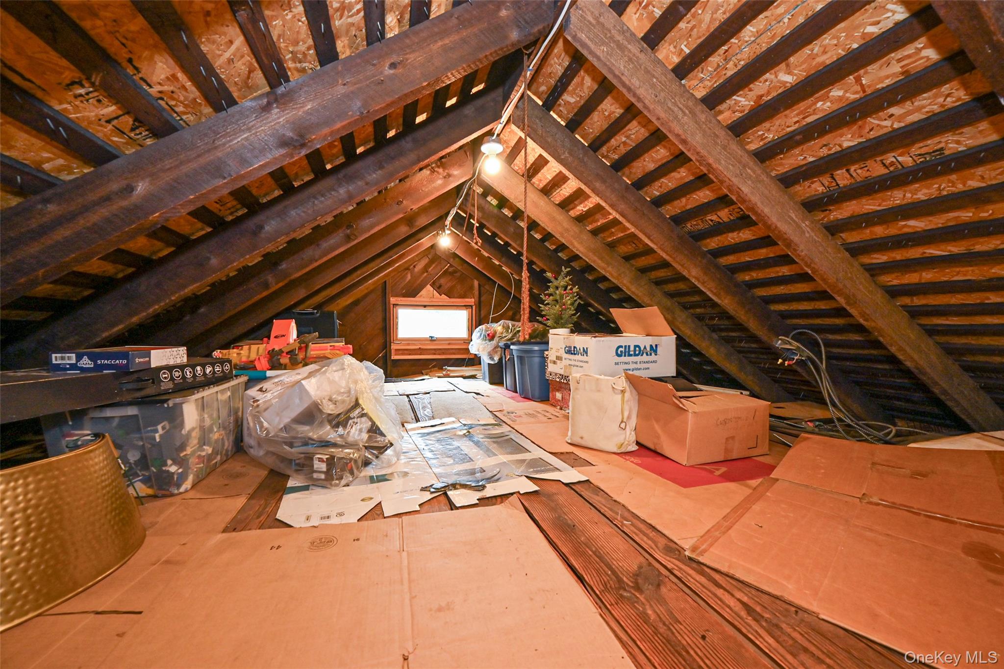 219-07 101st Avenue Property Photo 24