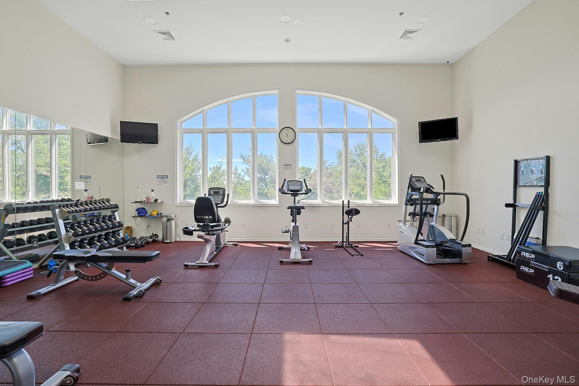 25 Gair Street Property Photo 25