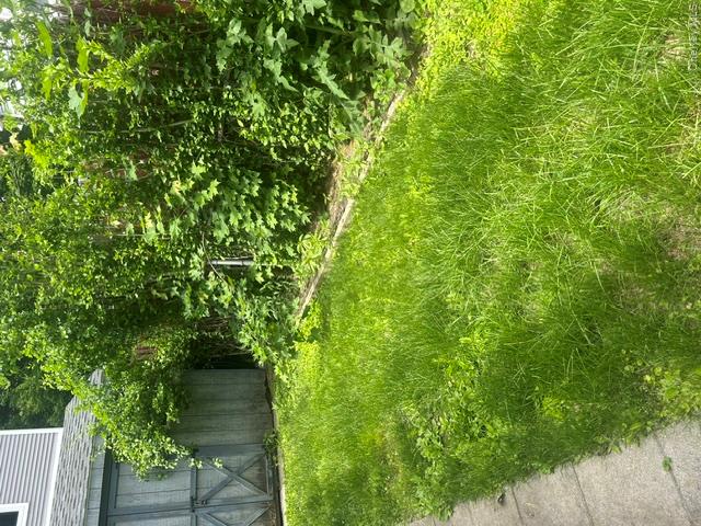 27 Gatto Drive Property Photo 16