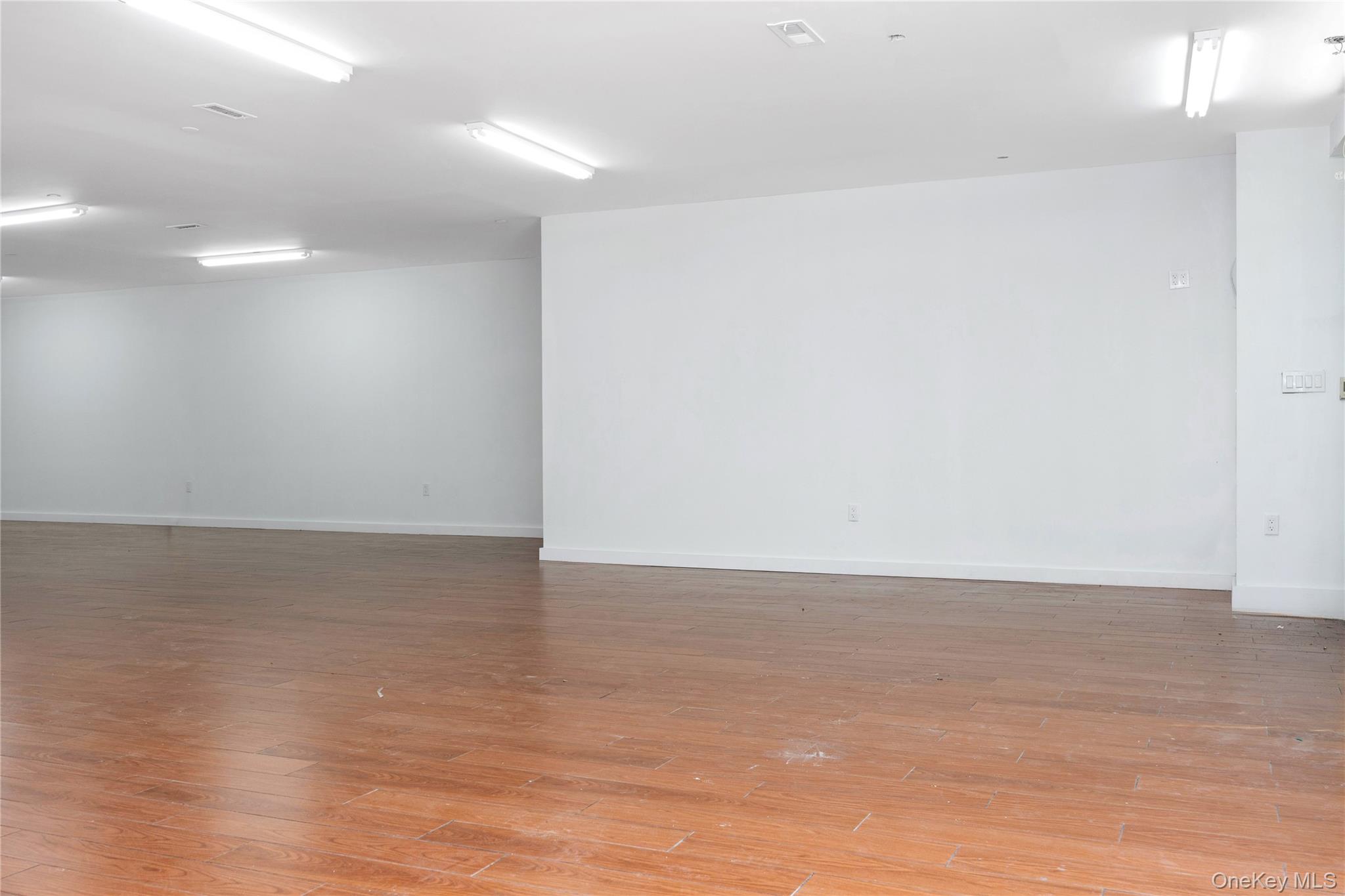 172-18 Jamaica Avenue Property Photo 23