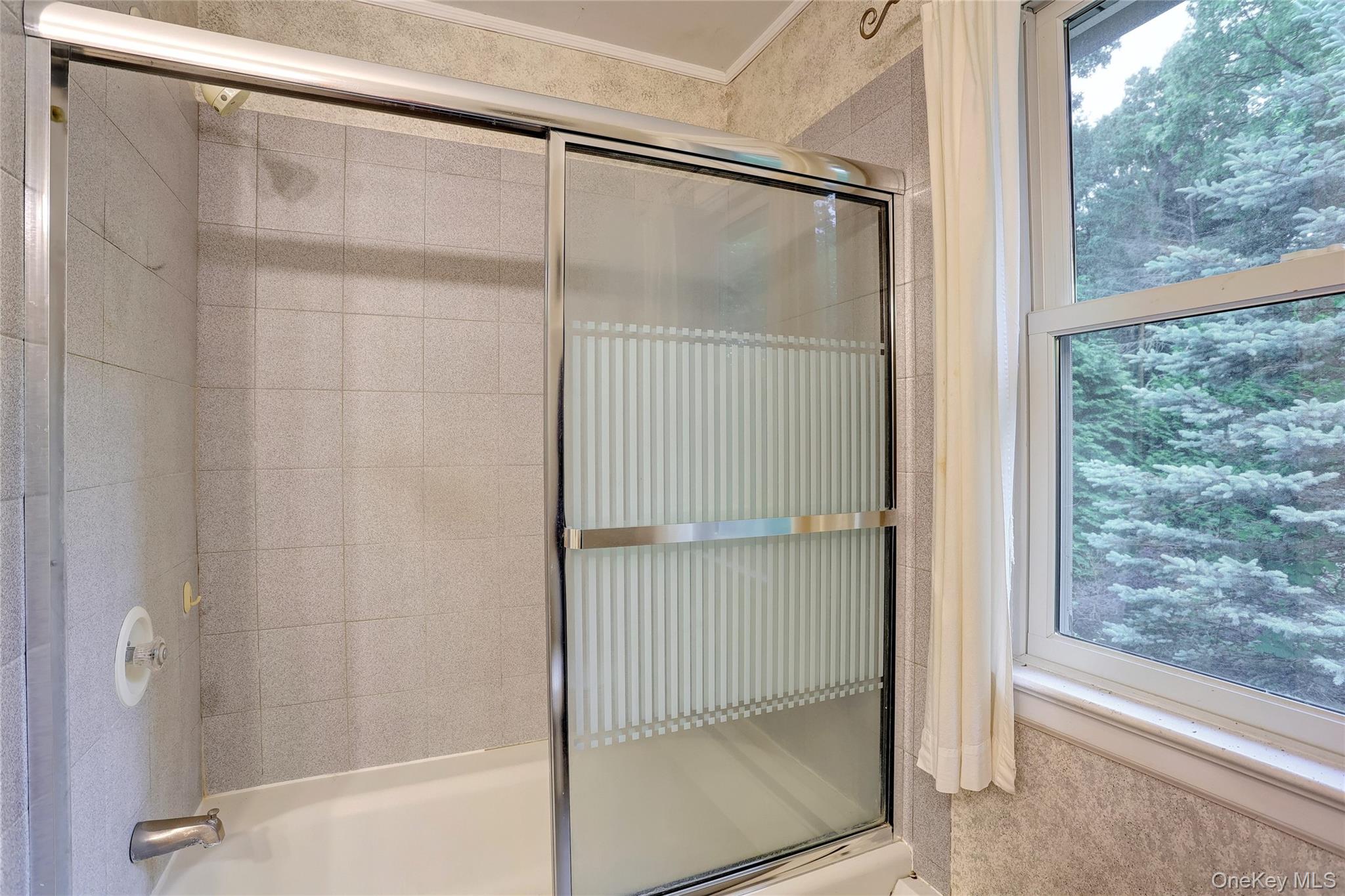 8 Swallow Avenue Property Photo 19