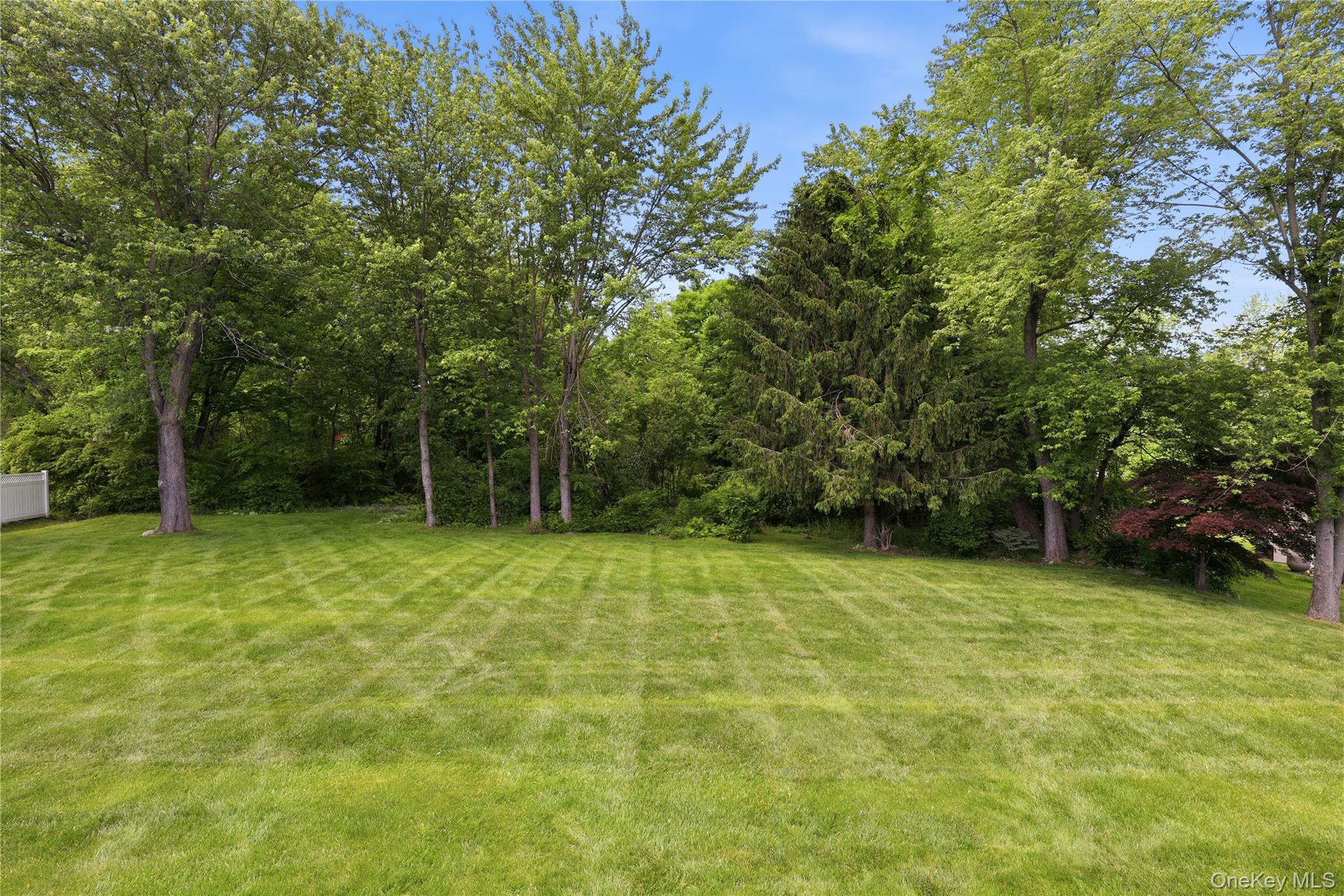 3093 Ferncrest Drive Property Photo 7