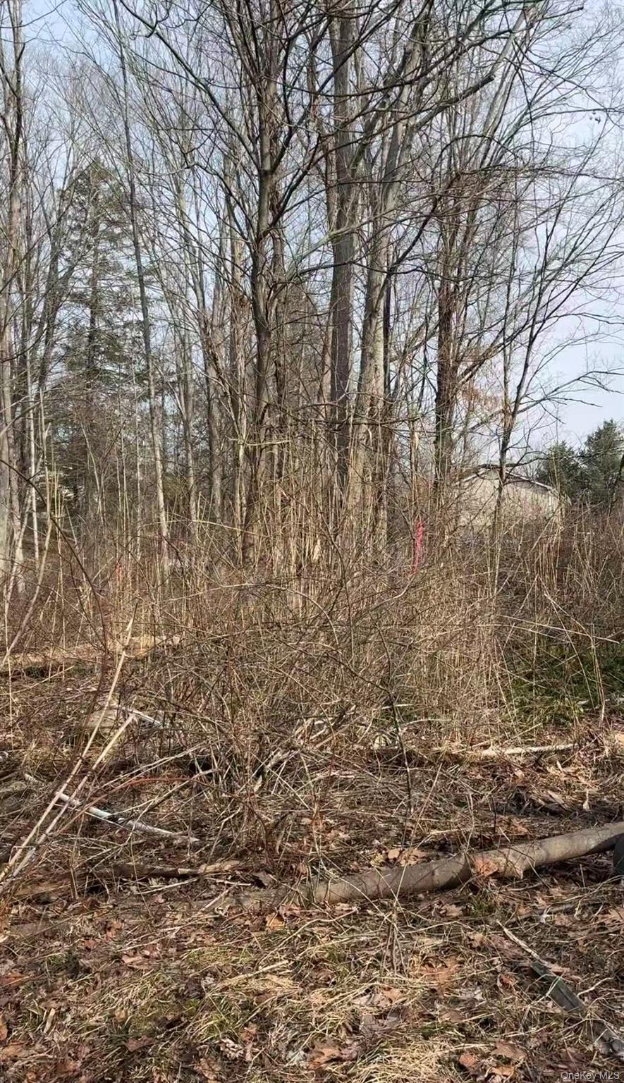19 & 25 Clearbrook Drive Property Photo 1