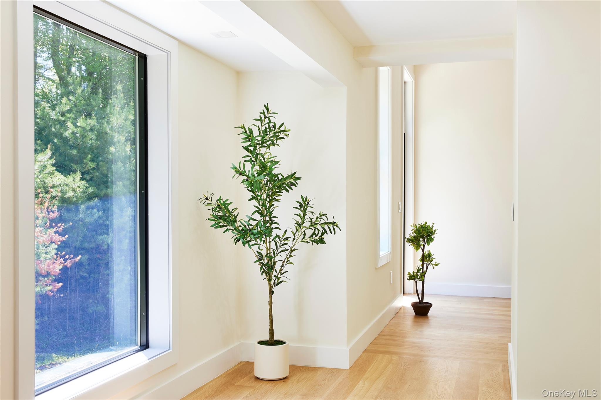 9 Curtis Road Property Photo 22
