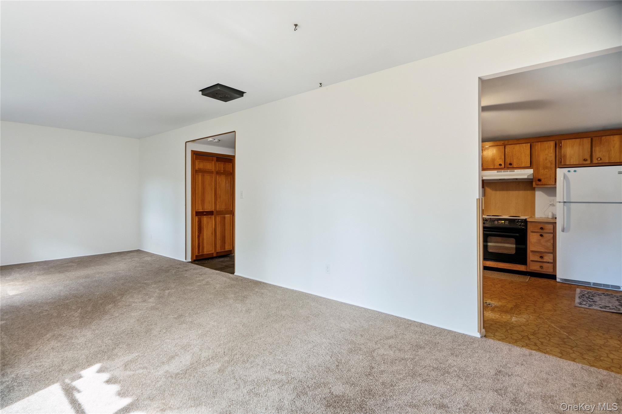 14 Campus Drive Property Photo 17