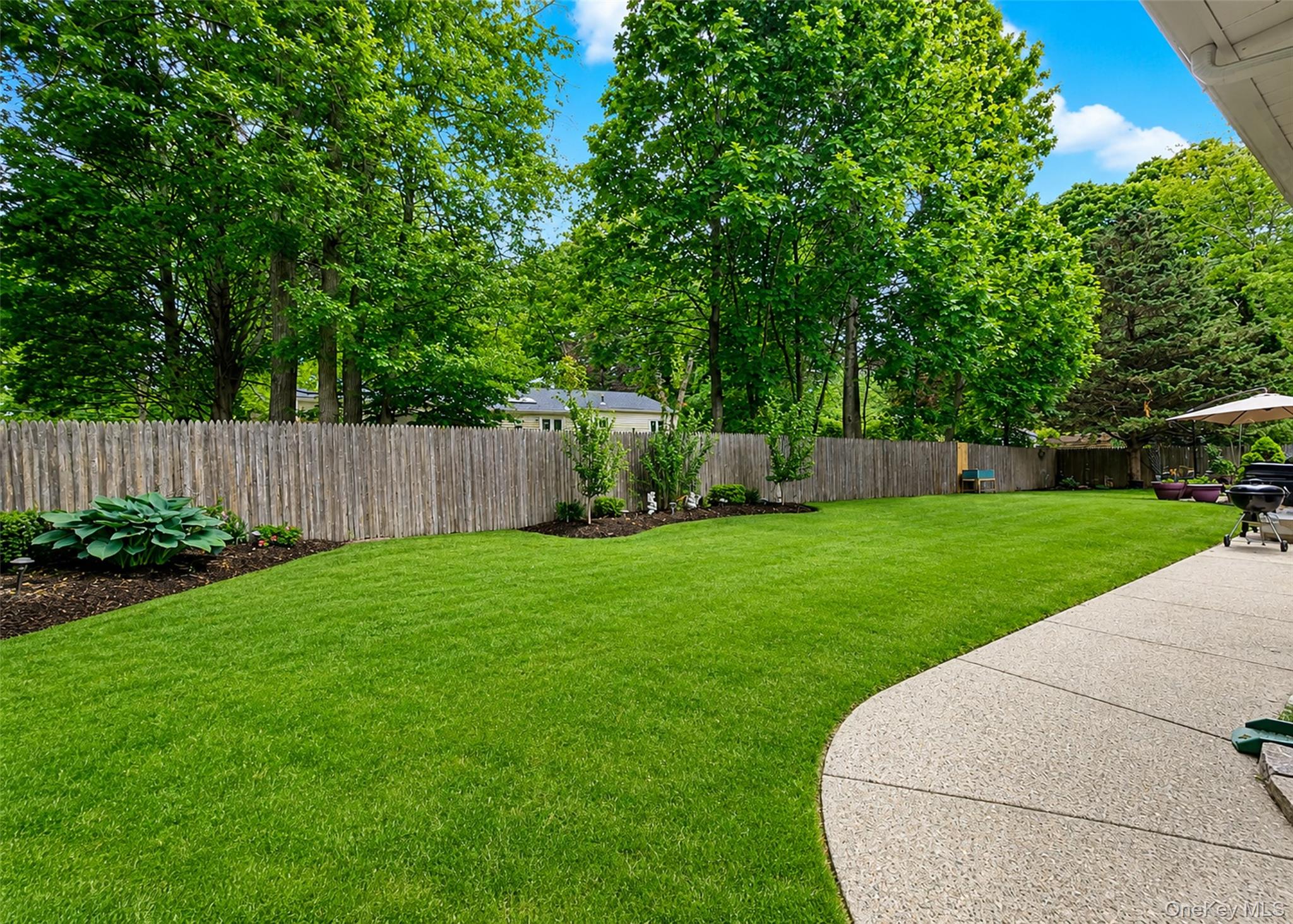 9 Holly Street Property Photo 21