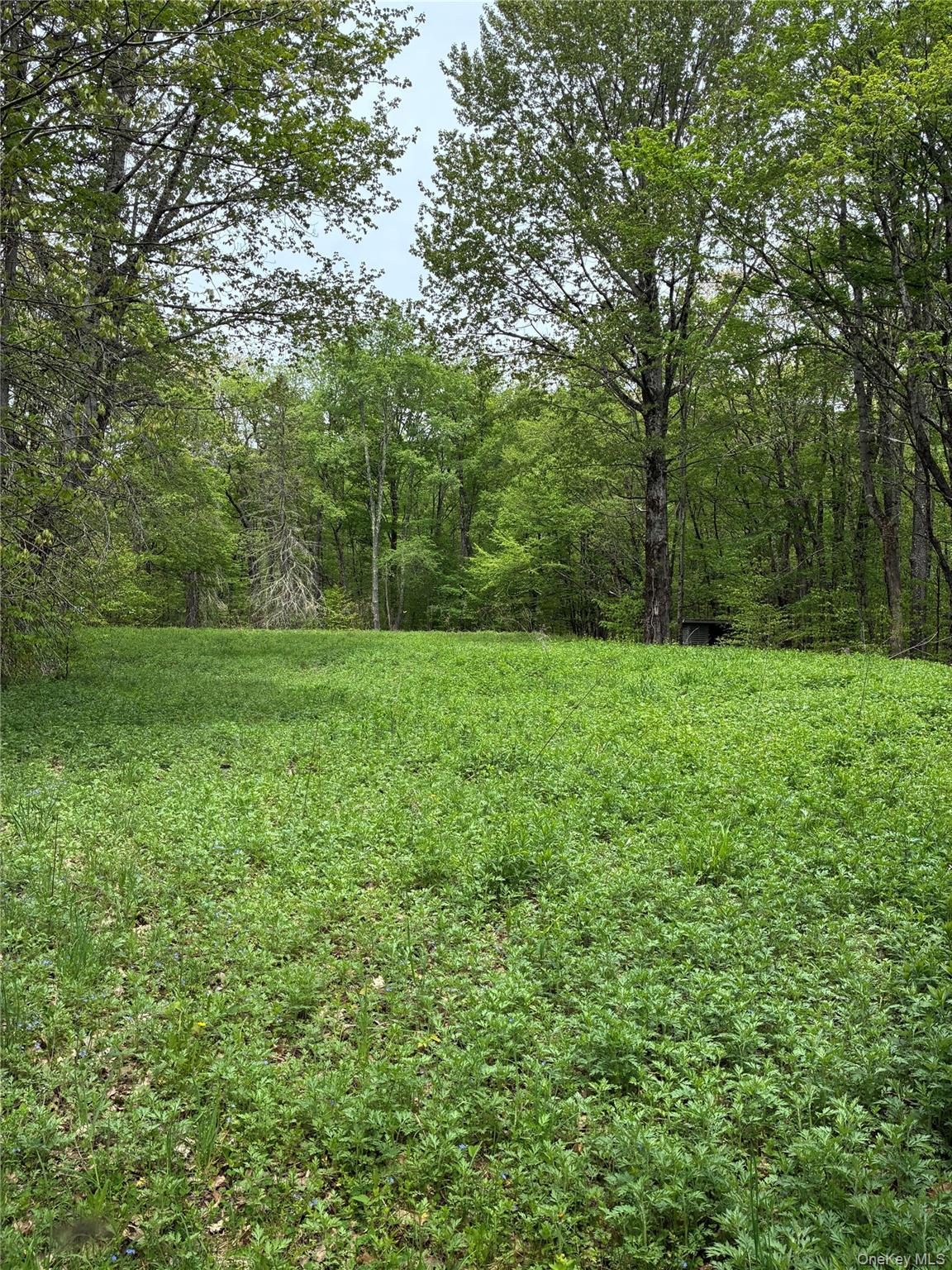 1 Mountain Lake Road Property Photo 1
