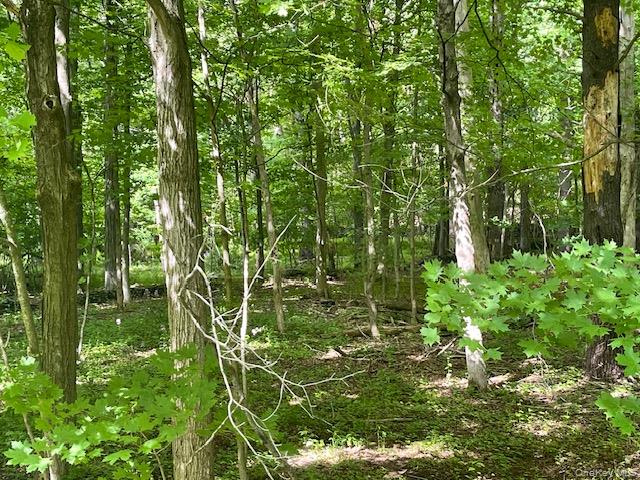 Joel M Austin Road Property Photo 1