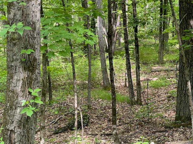Joel M Austin Road Property Photo 2