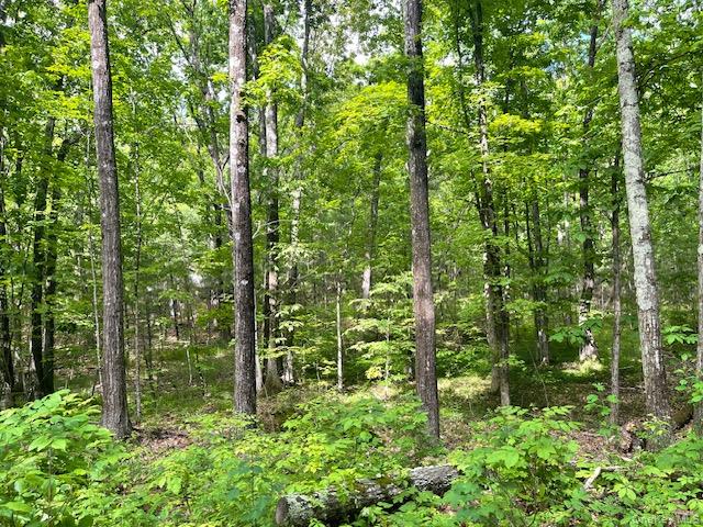 Joel M Austin Road Property Photo 3