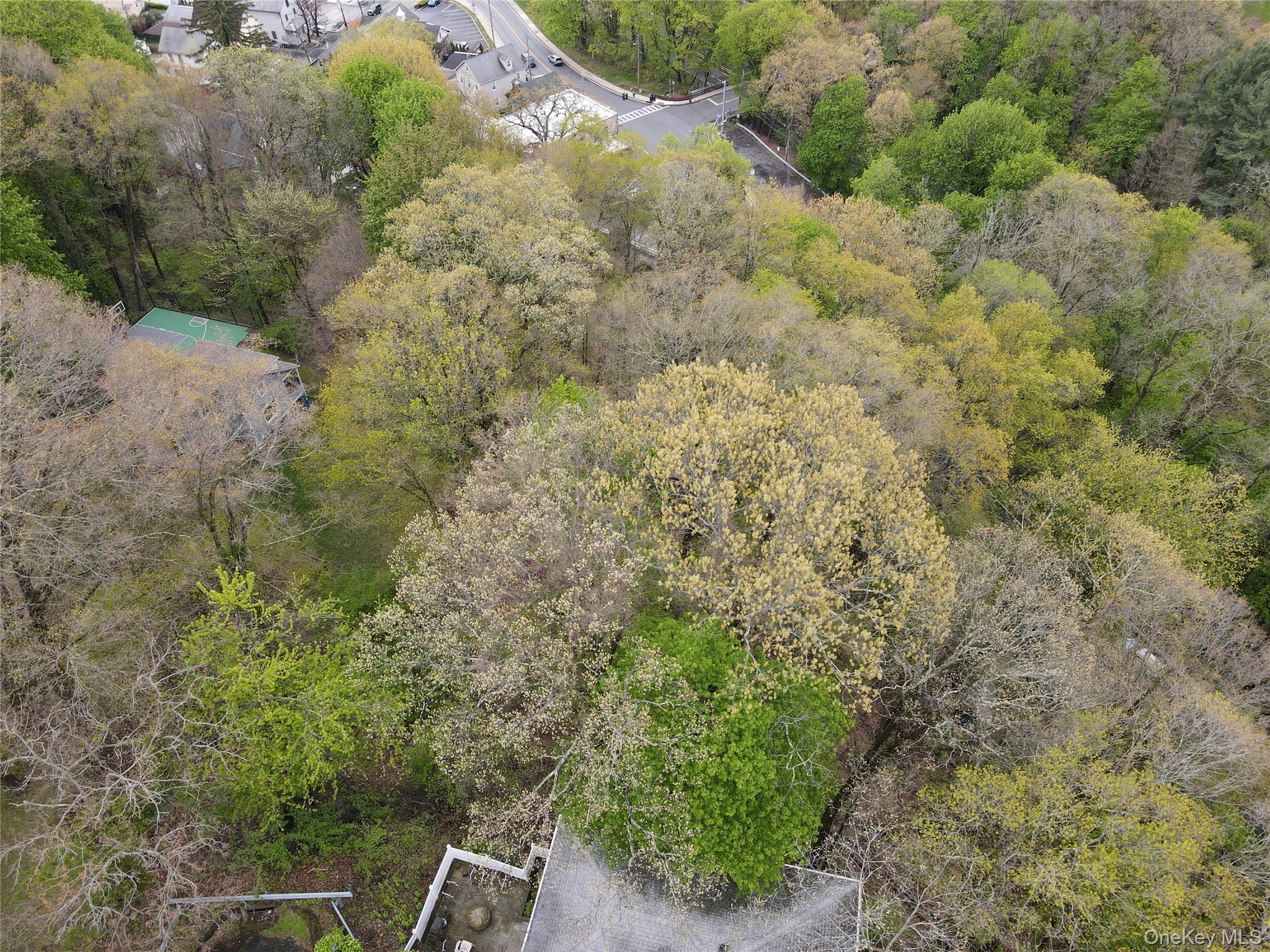 18 Columbus Avenue Property Photo 5