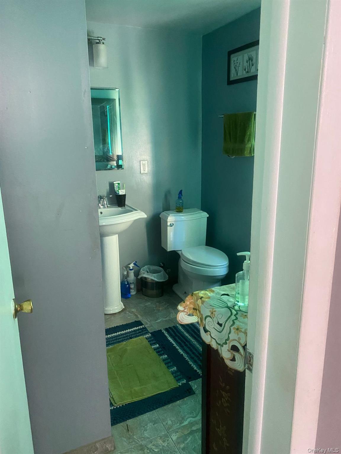 8 Morris Place Property Photo 7