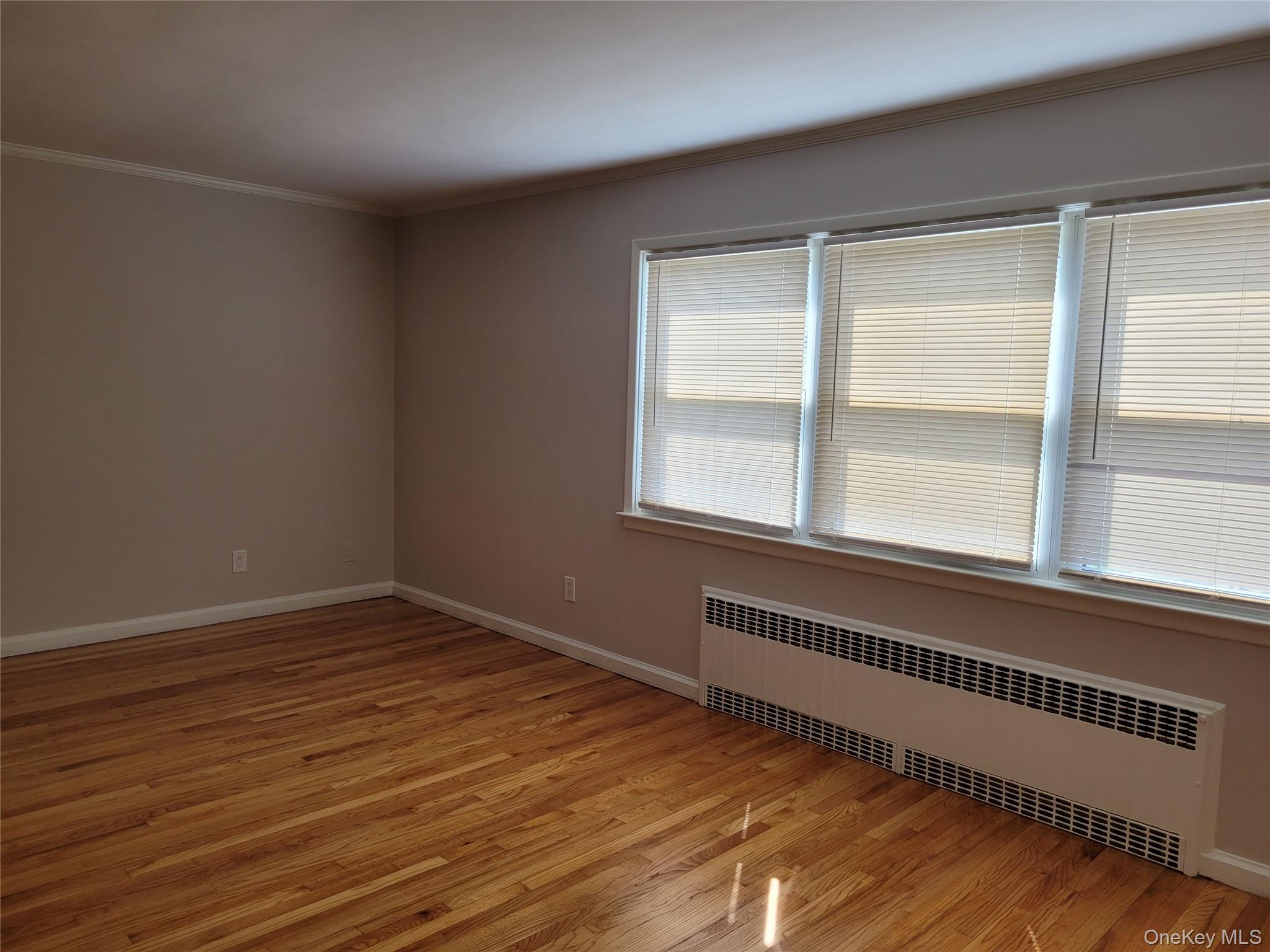 20 Edmund Street 2 Property Photo 7
