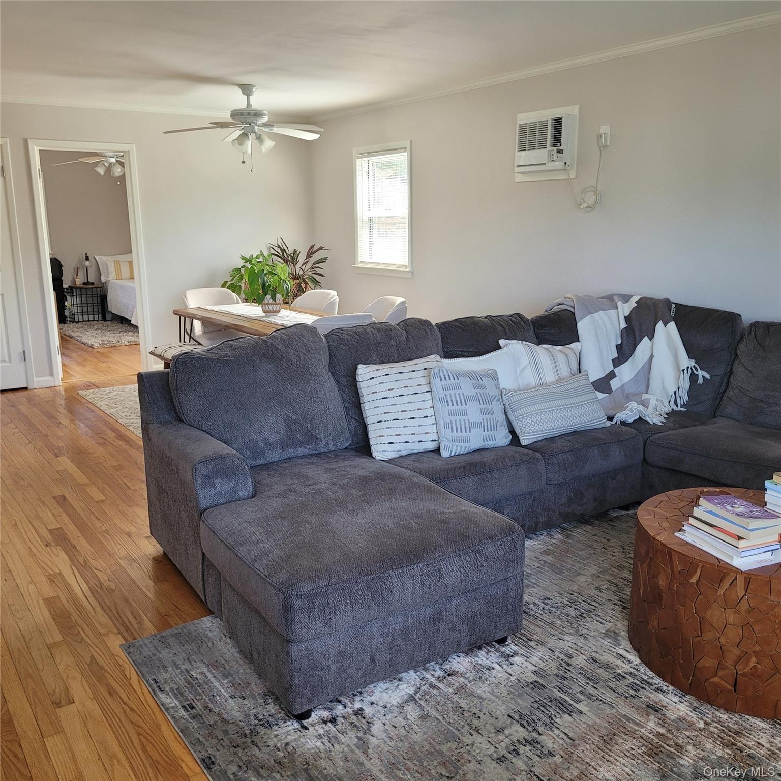 20 Edmund Street 2 Property Photo 16
