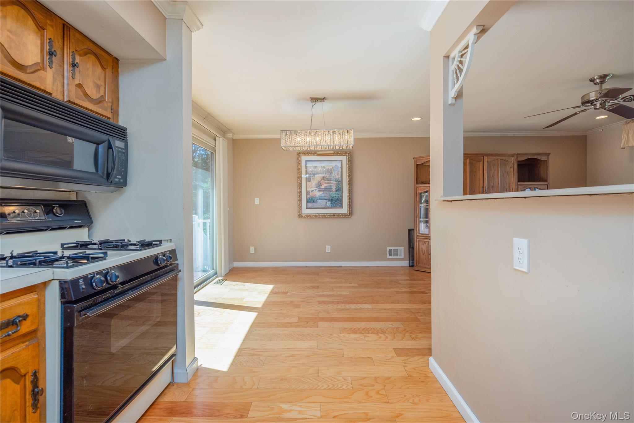 6 Beech Street Property Photo 19