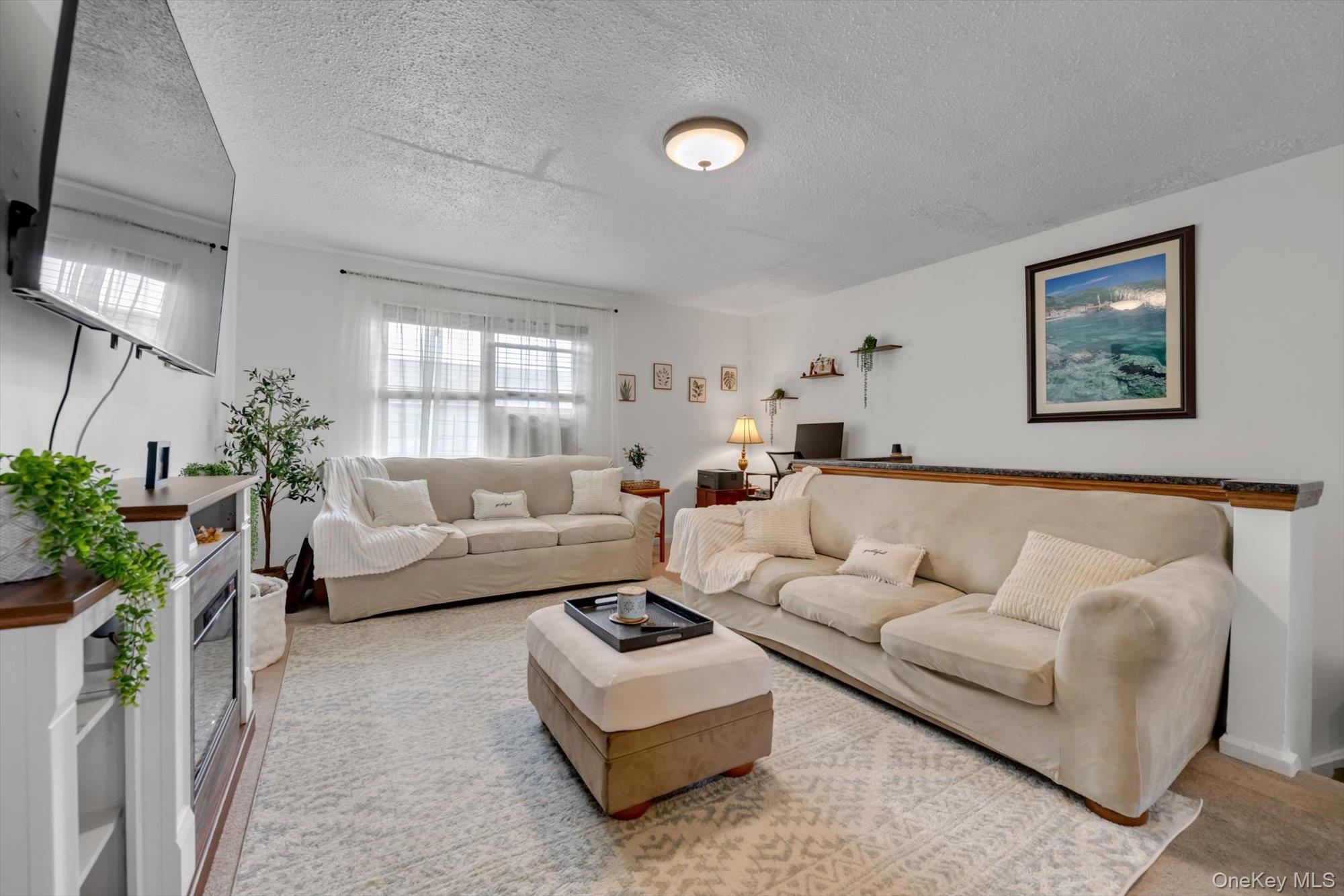 67-65 136th Street B Property Photo 2