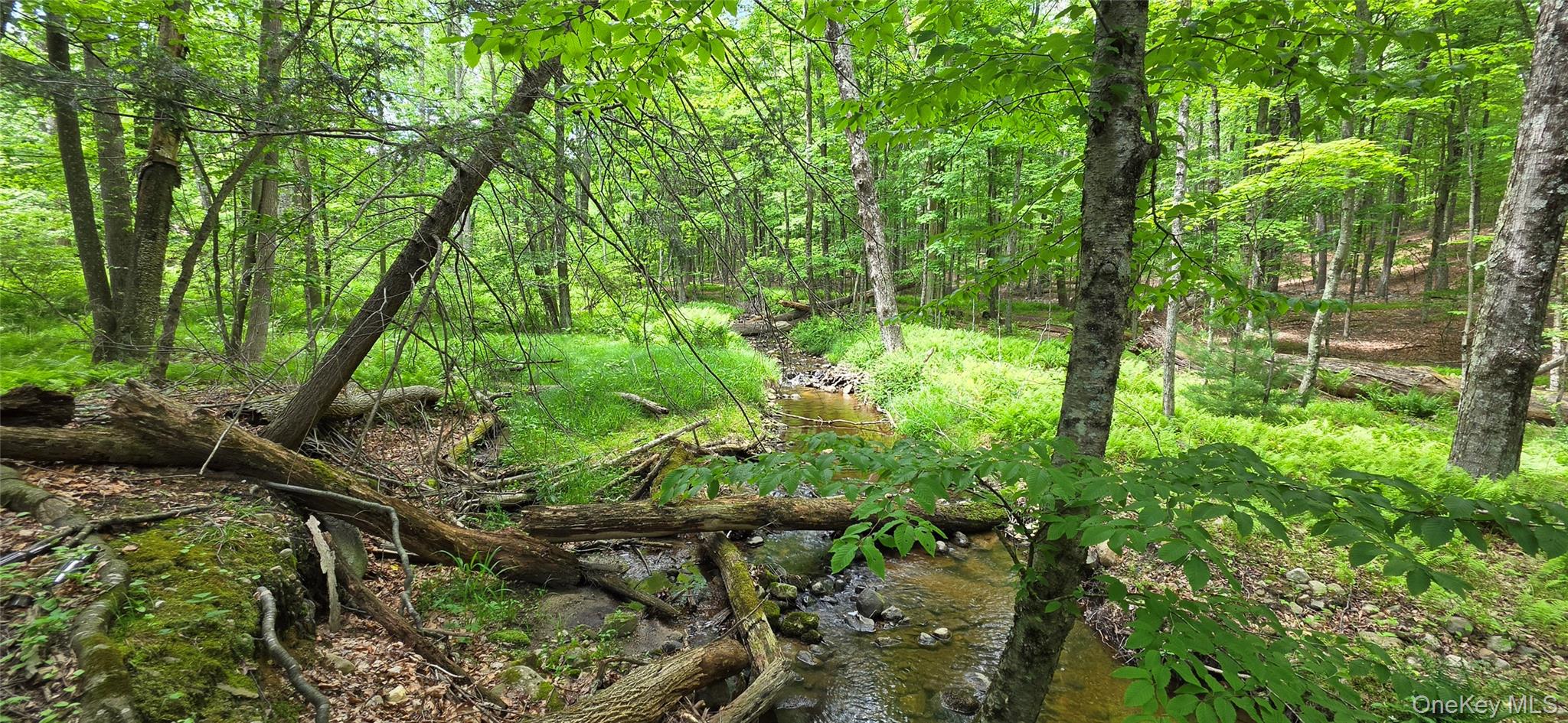 1006332 Property Photo 2