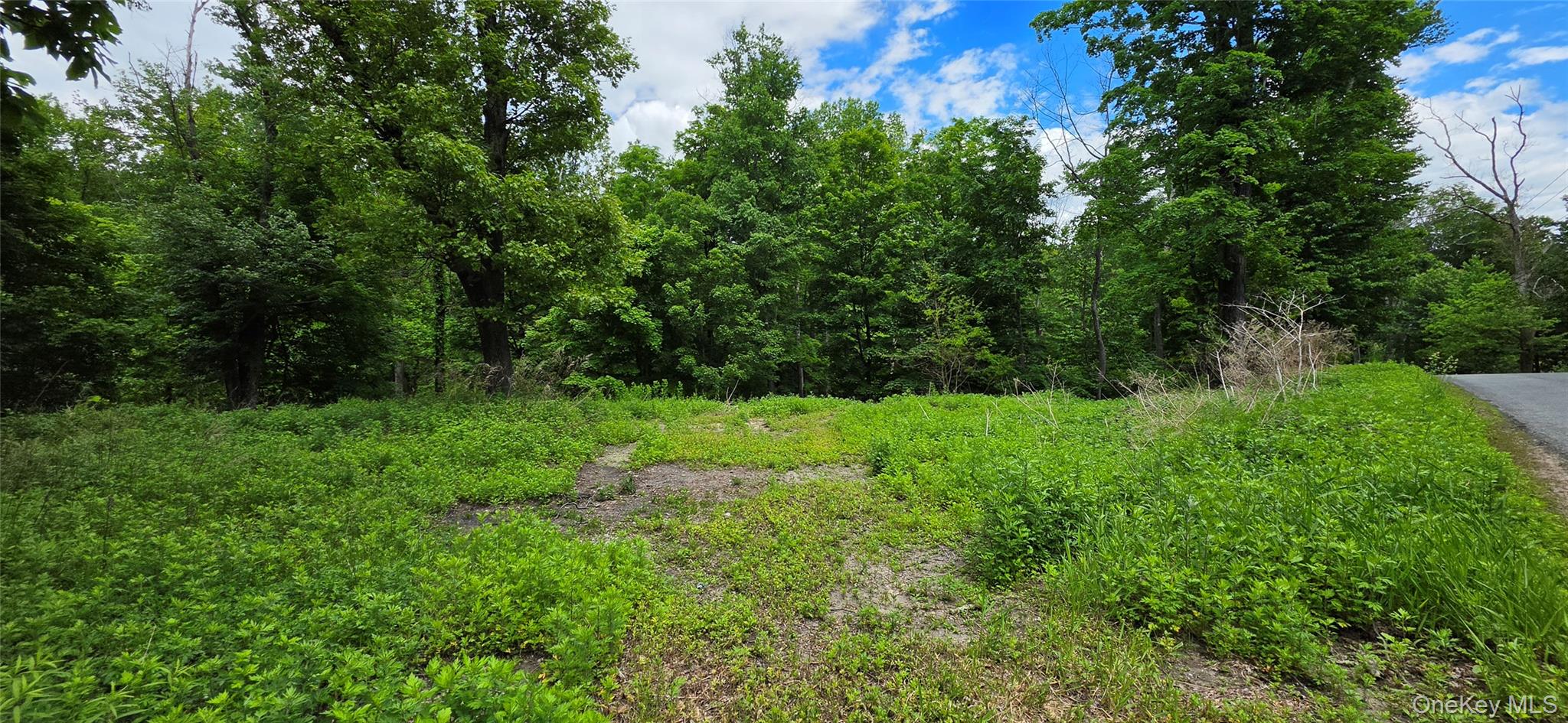 1006332 Property Photo 5