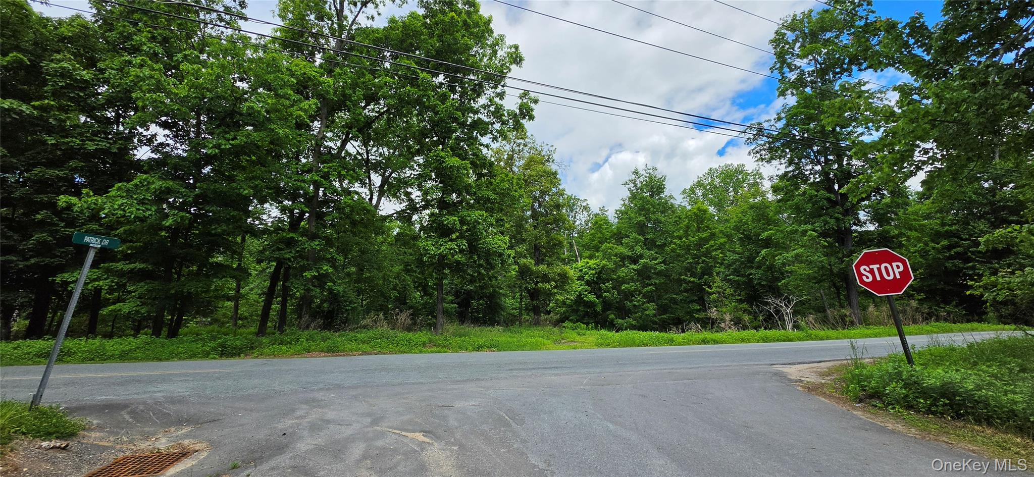 1006332 Property Photo 6