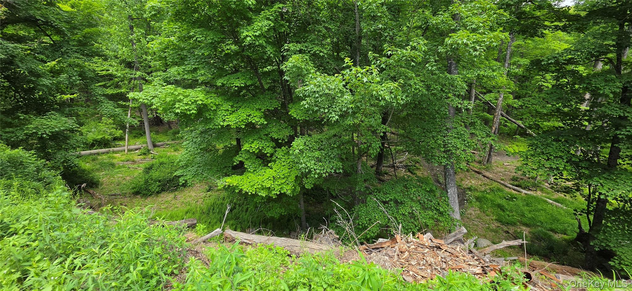 1006332 Property Photo 7