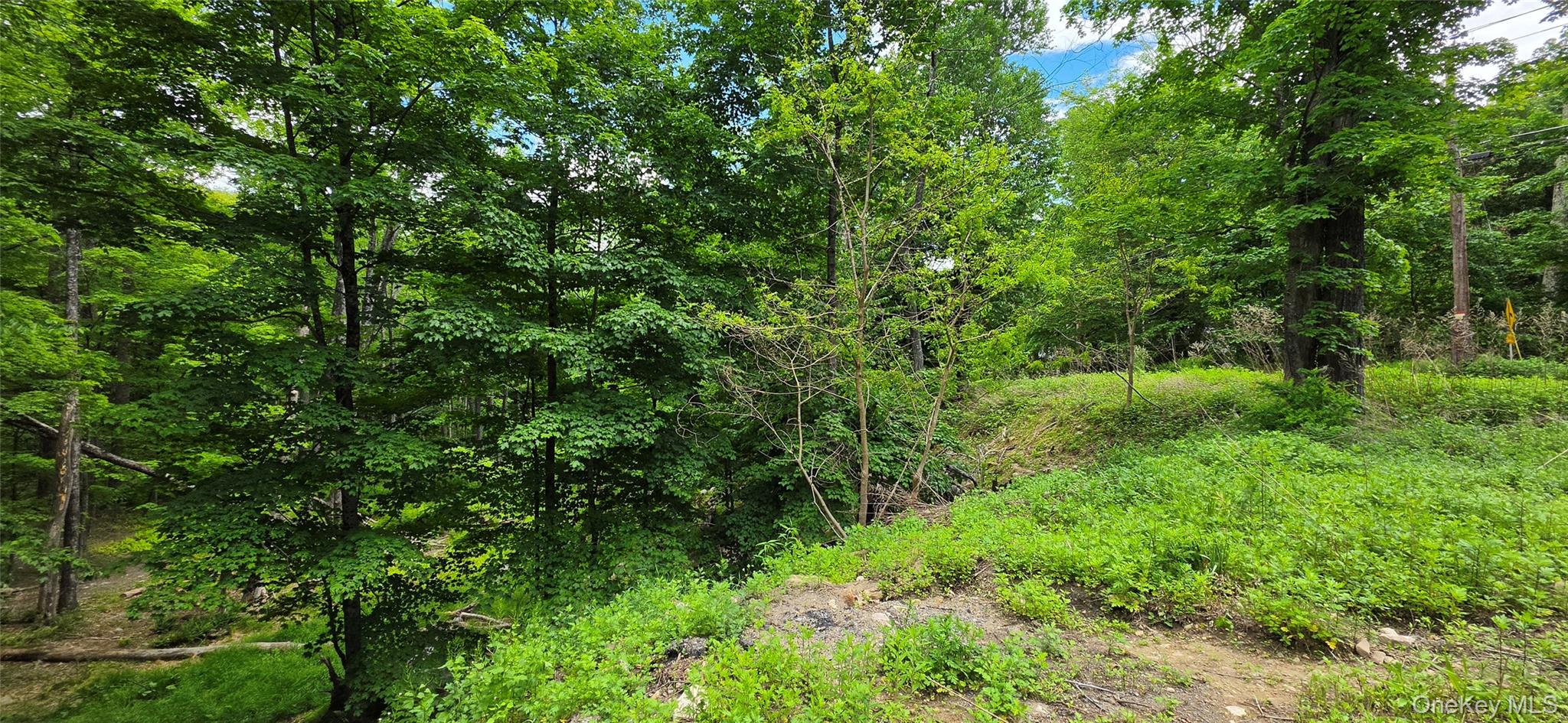 1006332 Property Photo 8