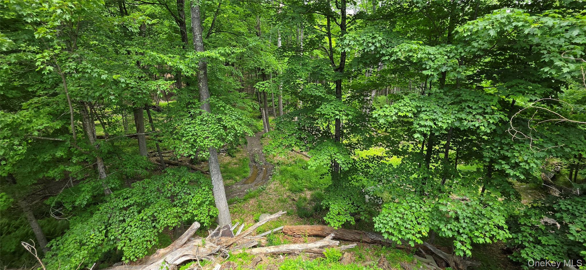 1006332 Property Photo 9