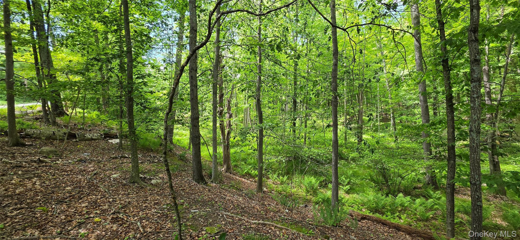 1006332 Property Photo 10