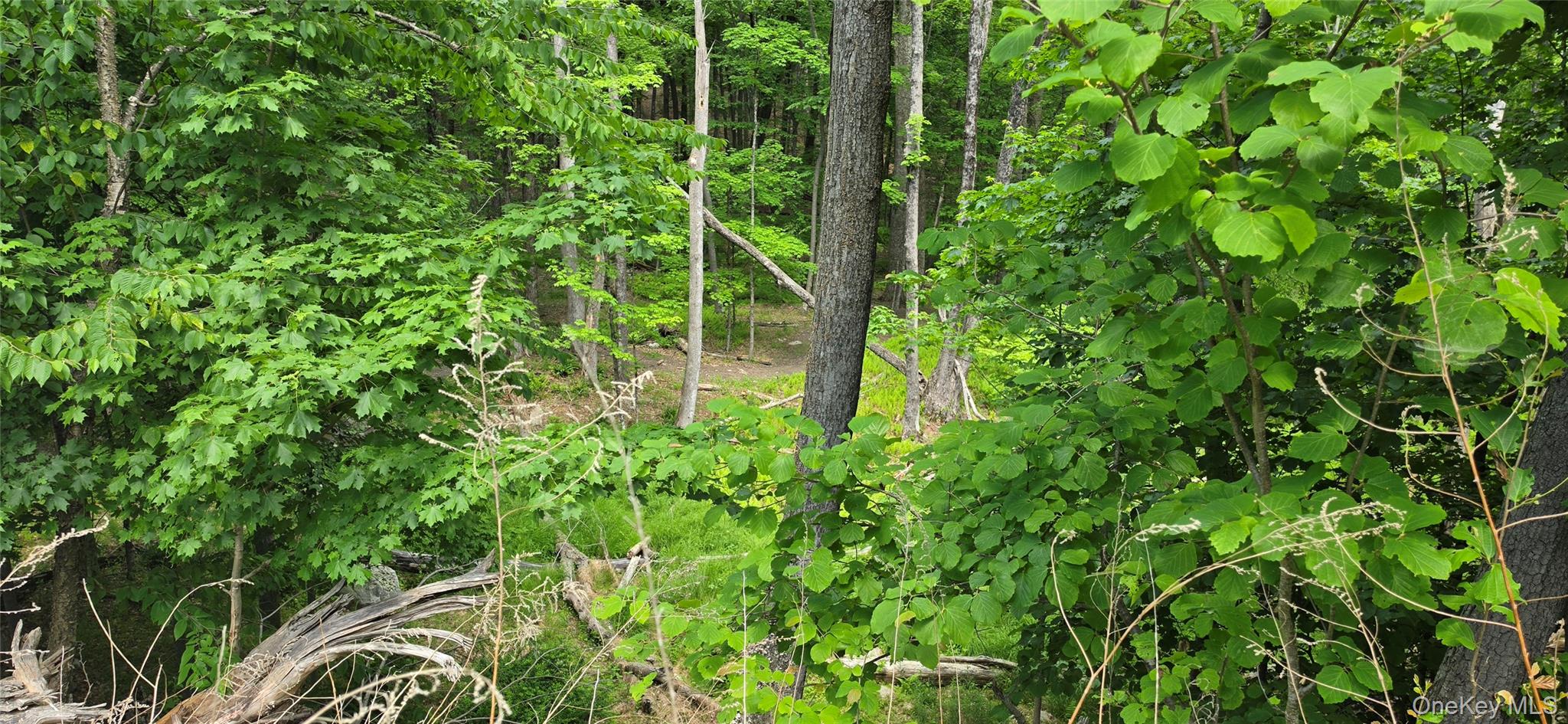 1006332 Property Photo 12