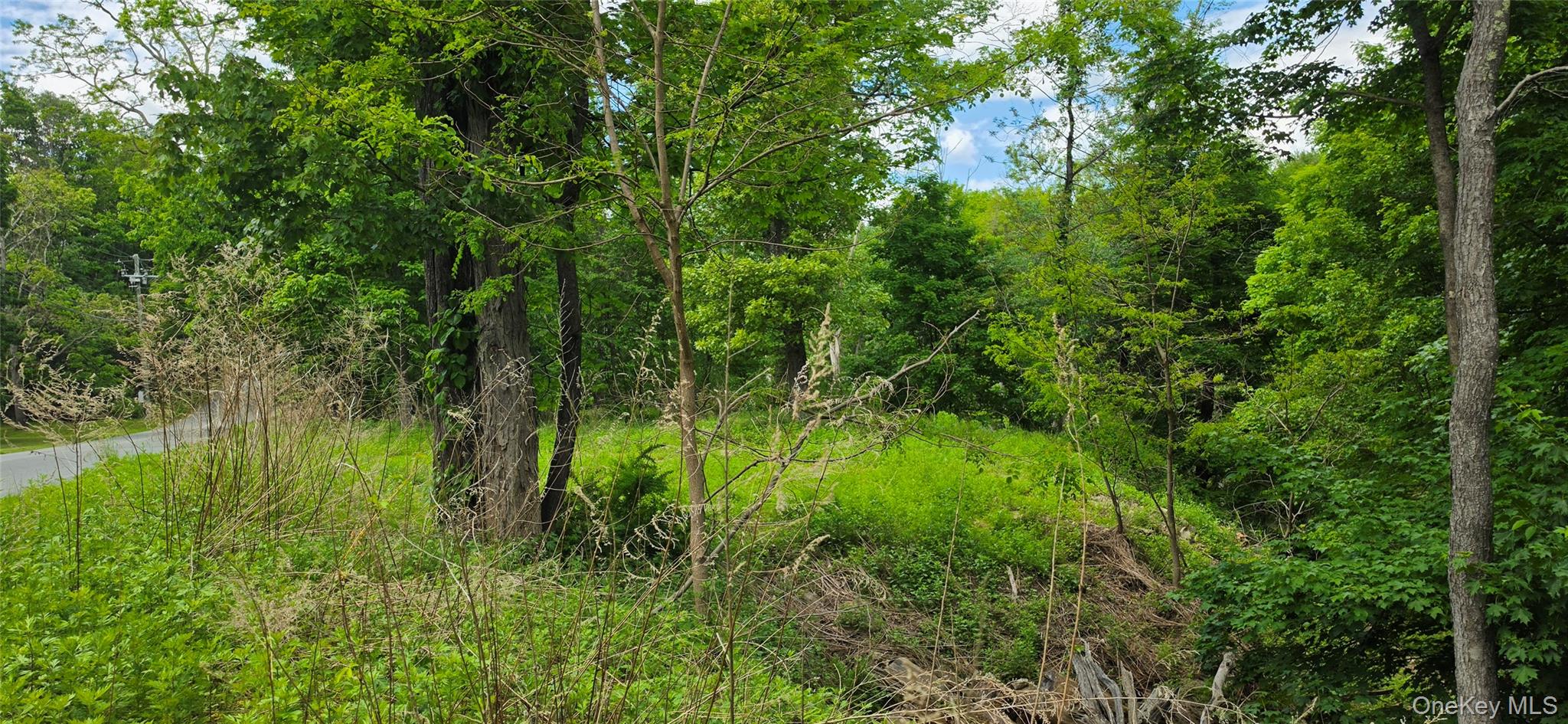 1006332 Property Photo 15