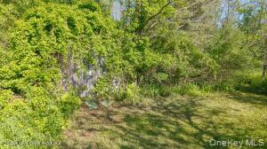 884 Camby Road Property Photo 22