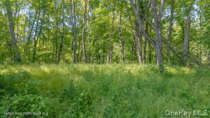 884 Camby Road Property Photo 26