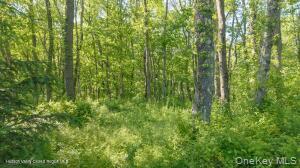 884 Camby Road Property Photo 27
