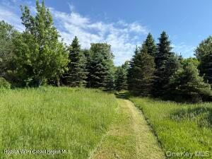 884 Camby Road Property Photo 32