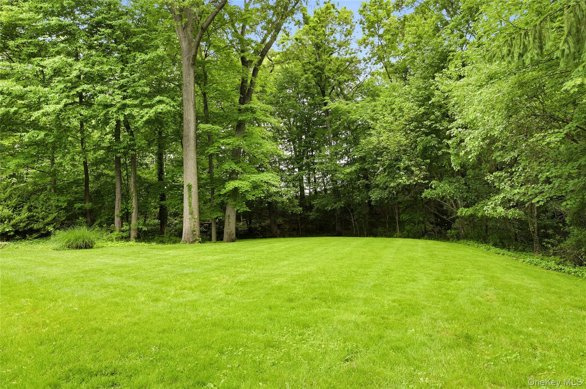 25 Edcris Lane Property Photo 38