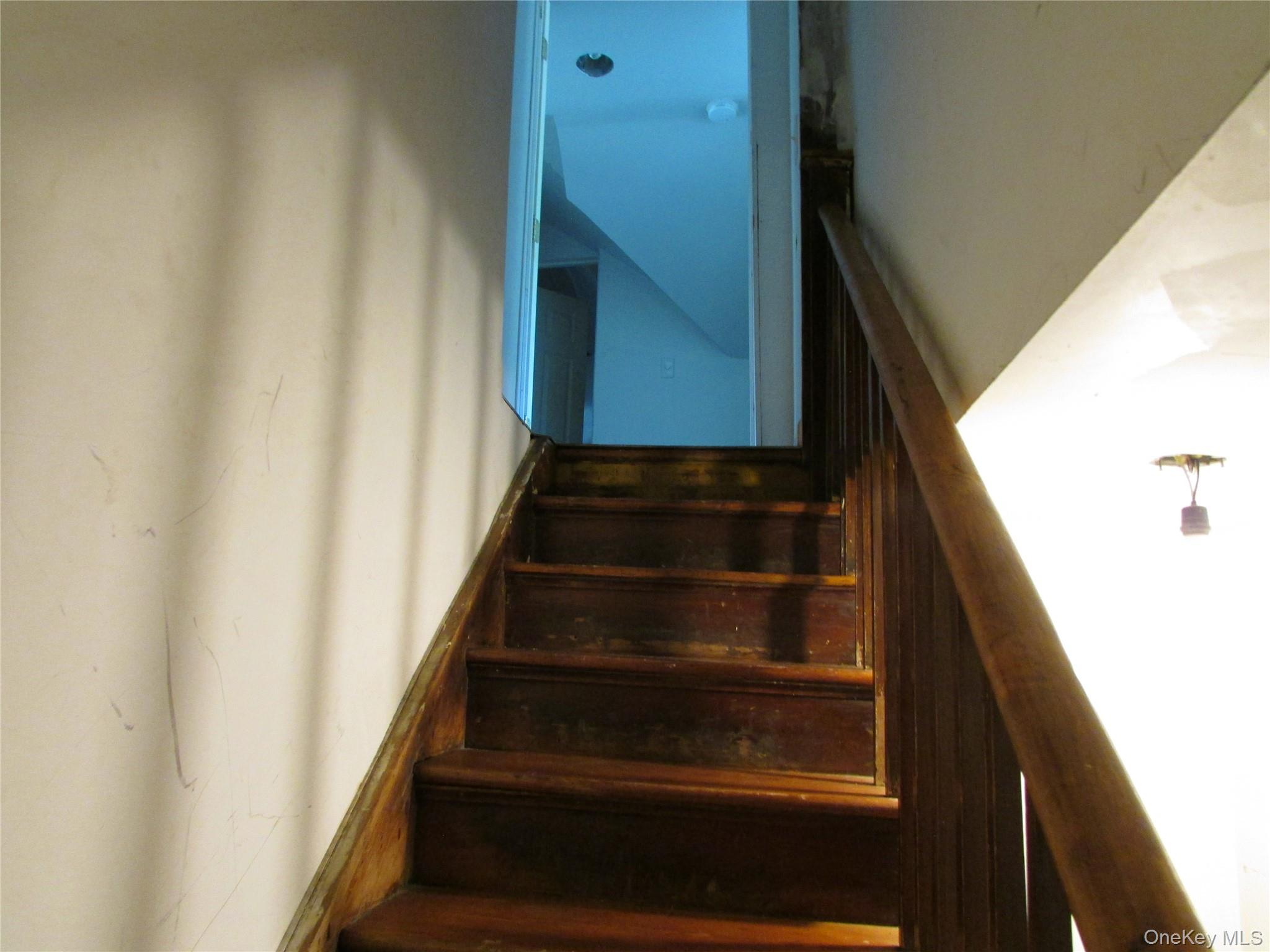 117 Ketcham Avenue Property Photo 45