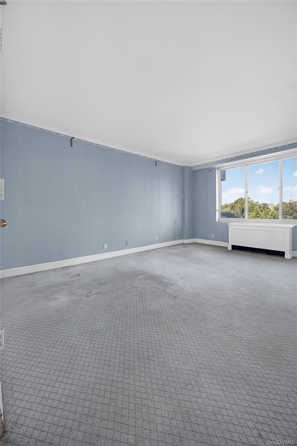 111 Cherry Valley Avenue 304 Property Photo 22