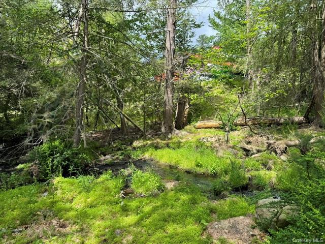 6 Beaver Brook Road Property Photo 5