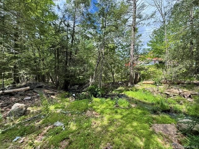 6 Beaver Brook Road Property Photo 18