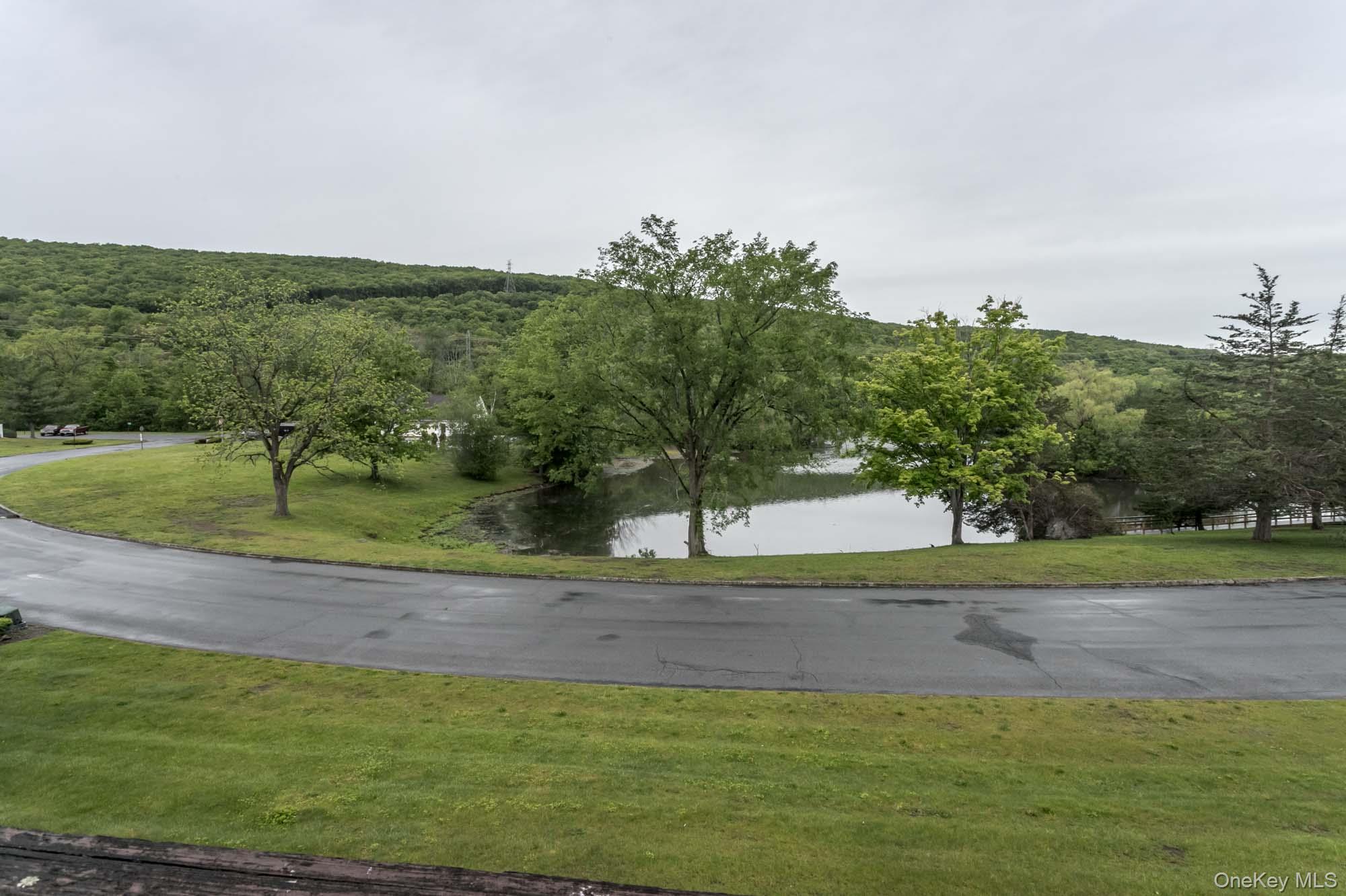 804 Swan Hollow Road Property Photo 16