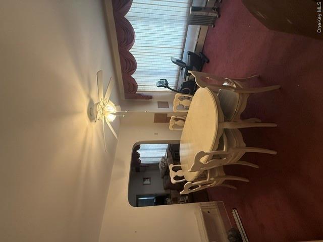 6 Wilson Street Property Photo 17