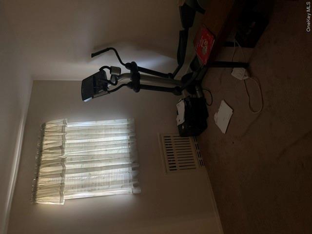 6 Wilson Street Property Photo 20